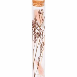 Buisje met droogbloemen