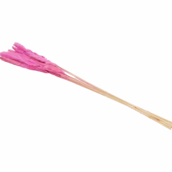 Droogboeket