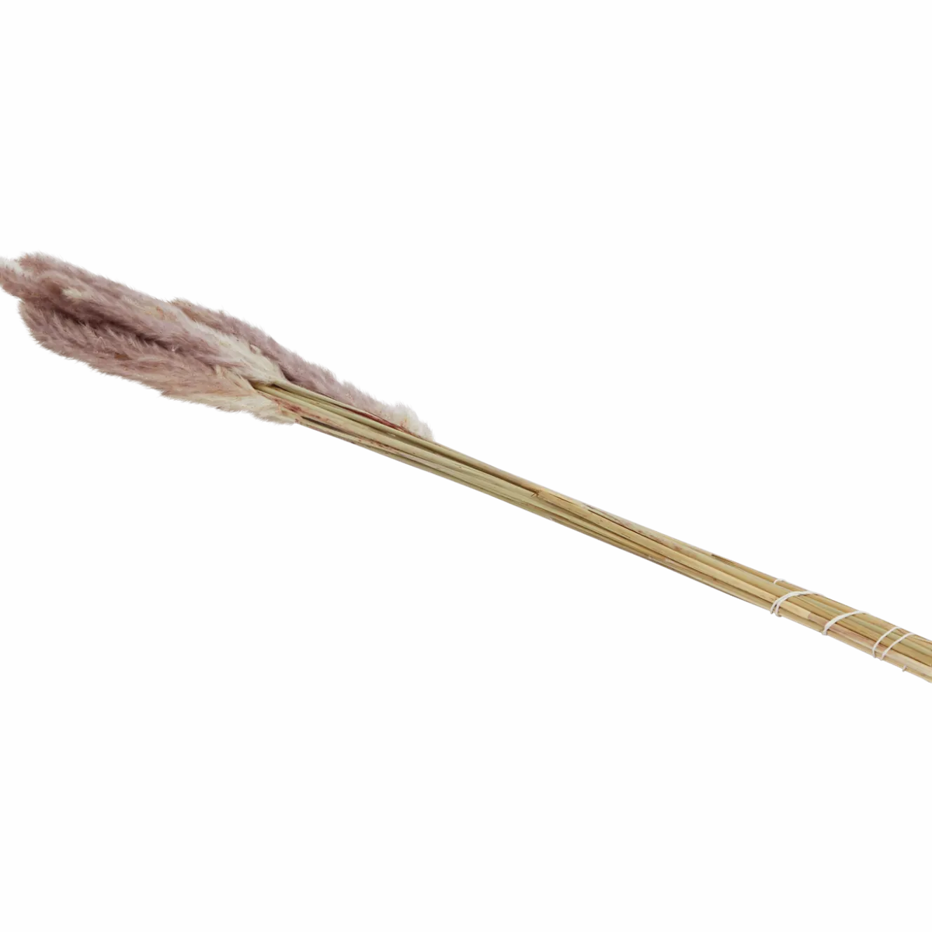 Droogboeket