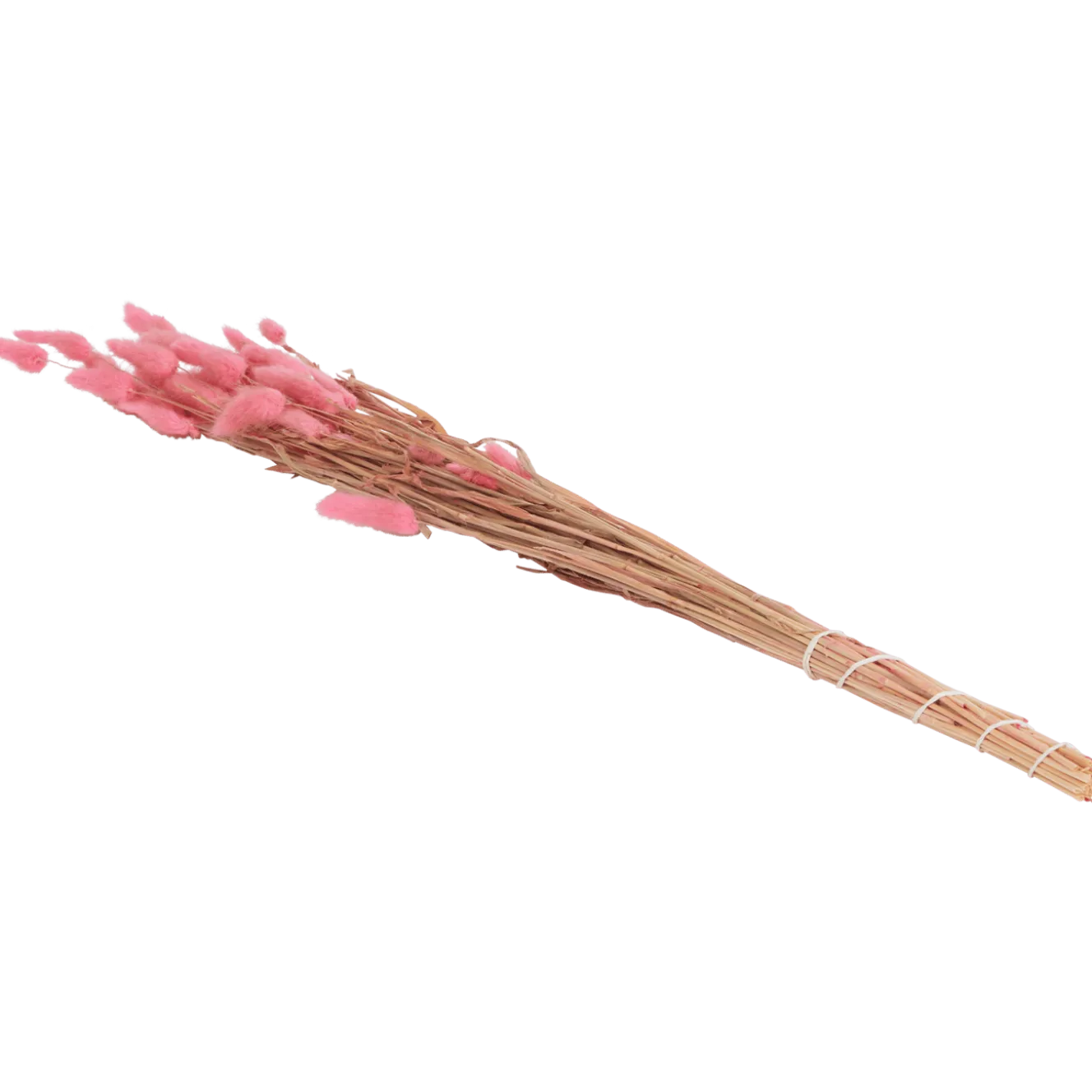 Droogboeket