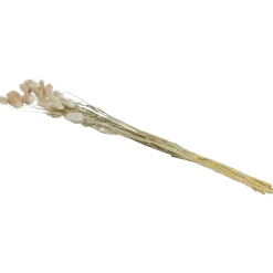 Droogboeket
