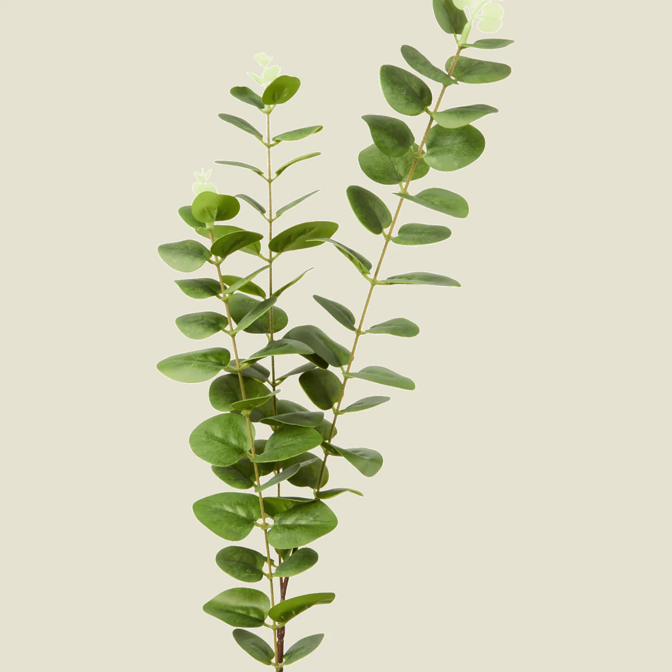Excellent Flowers kunst-eucalyptus op steel