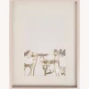 Fotolijst
