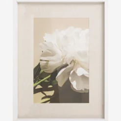 Fotolijst