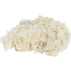 Home Accents decoratief mos