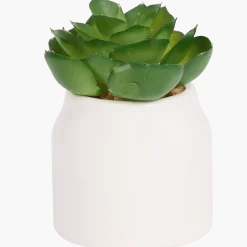 Home Accents kunstvetplantje in pot