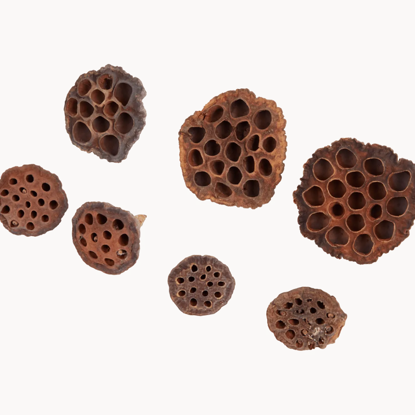 Home Accents natural droogmix