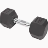Kaytan dumbbell