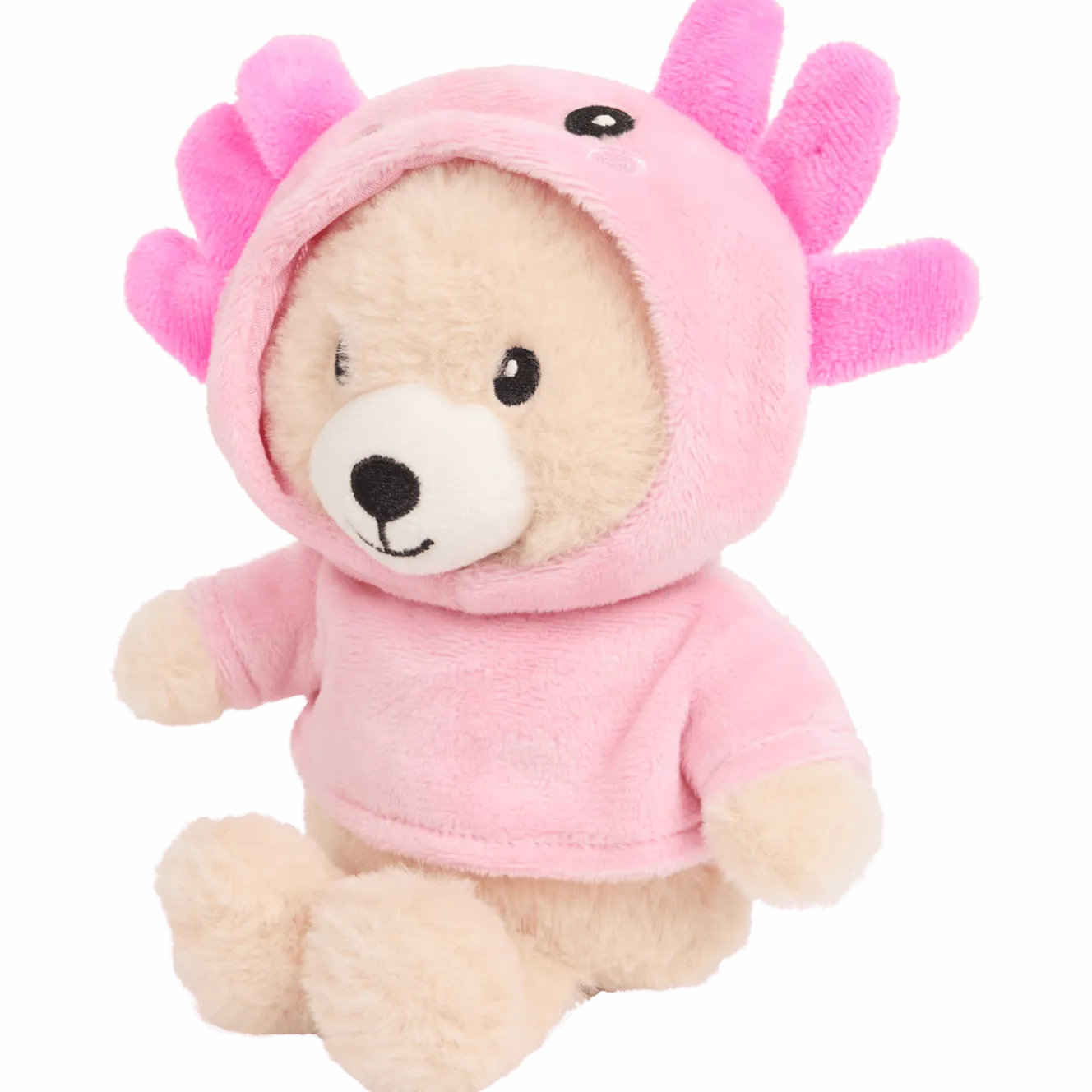 Knuffelbeer met kleding