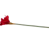 Kunstamaryllis op steel