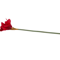 Kunstamaryllis op steel