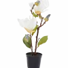 Kunstmagnolia in pot