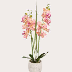 Kunstorchidee in pot