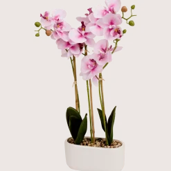 Kunstorchidee in pot