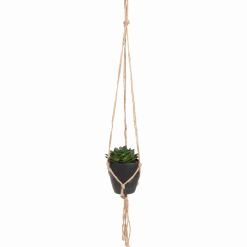 Kunst-vetplant in hangpotje
