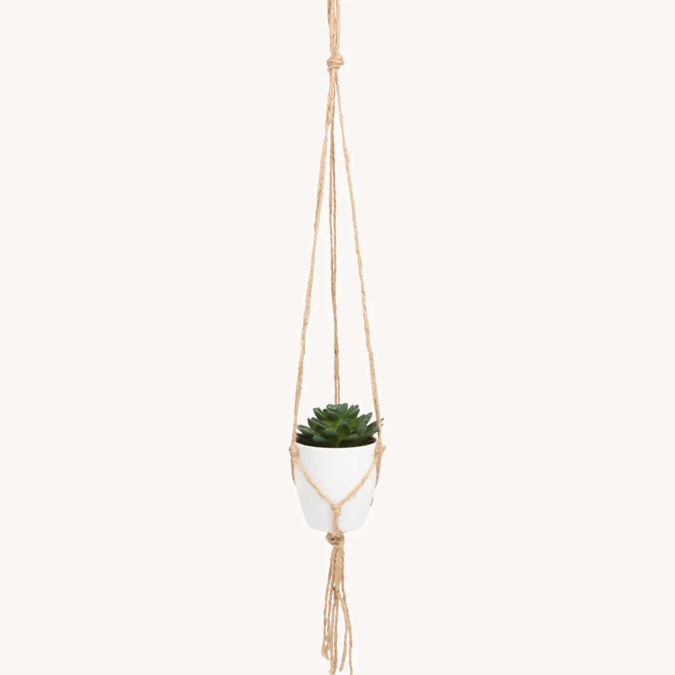 Kunst-vetplant in hangpotje