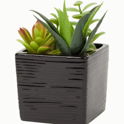 Kunst-vetplant in pot
