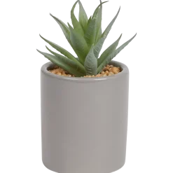 Kunst vetplant in pot