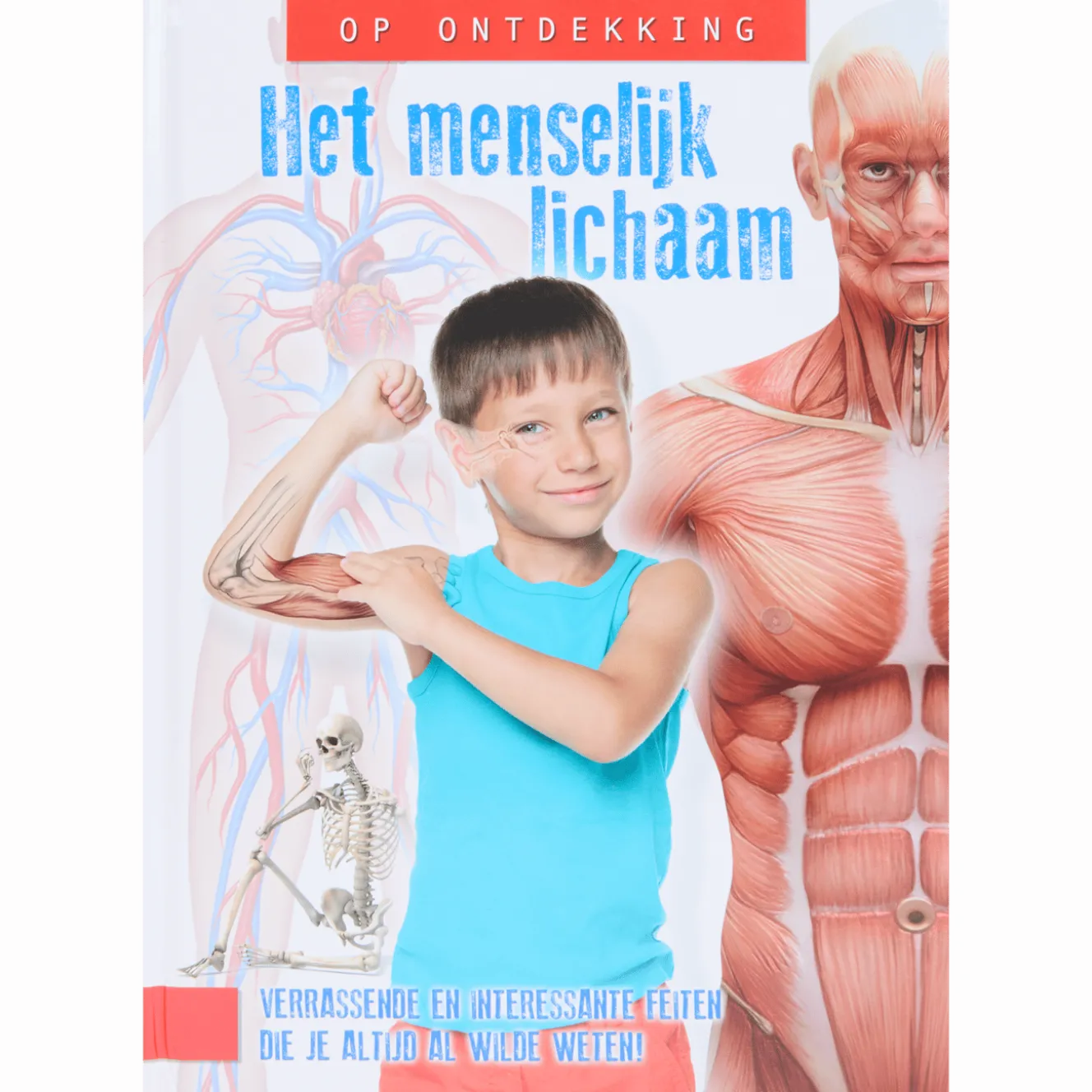 Ontdekkingsboek
