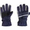 Skihandschoenen