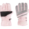 Skihandschoenen