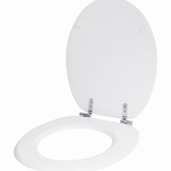 Toiletbril