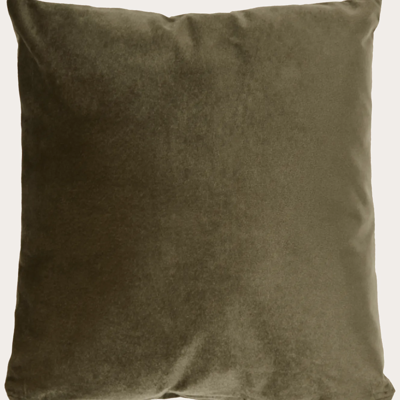 Velvet kussen